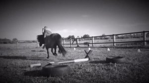 Конкур на пони?/без седла❤️/любимая Даша?/прыжки без рук?