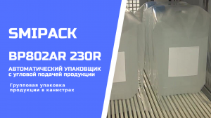 Автомат упаковочный BP802AR 230R: групповая упаковка технических жидкостей в канистрах в термоусадку