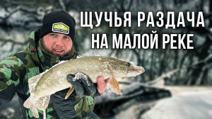 РАЗДАЧА ЩУКИ НА МАЛОЙ РЕКЕ