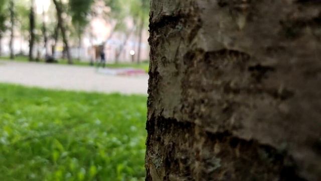 Что будет, если дать поисковый магнит сумасшедшему