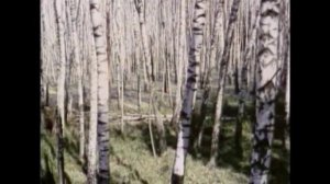 буктрейлер Олеся Куприна