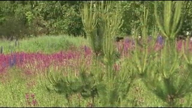 Праздник «День Земли» 23.07.11. Юный пресс-центр «ЗКР» Владимирской обл. #23июляДеньЗемли смотреть онлайн