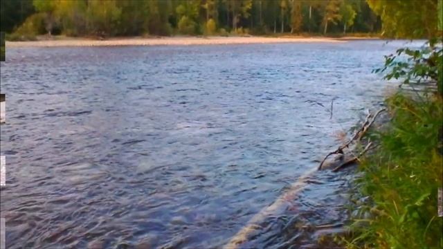 Один день на горной реке ТЫЯ. #ТЫЯ #горная река