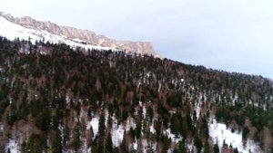 Партизанская поляна (Гузерипль, Адыгея). Февраль 2019г.