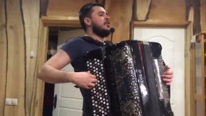 Человек и кошка на баяне! Баянист Дмитрий Десятов!