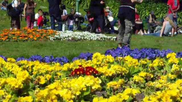 Didgery Doo? смотреть онлайн