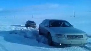 Ауди-а 8 зверь.