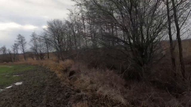 Охота на зайца по чернотропу. Заяц спрятался! смотреть онлайн