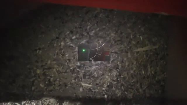 ПЗК-100 «Мамонт» Краснодарский край, чистка подсолнечника. ИП Шкаленко. смотреть онлайн