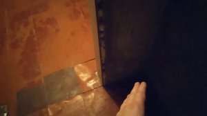 Как свести кошку с котом в квартире первый раз если кошка не подпускает кота ?