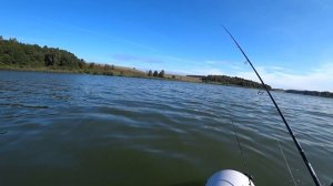 КАК ЛОВИТЬ СУДАКА НА ВОДОХРАНИЛИЩЕ. ПРИМАНКИ НА СУДАКА
