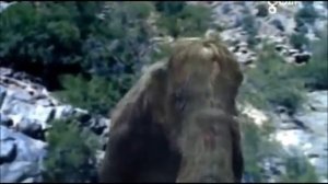 Охота на мамонта