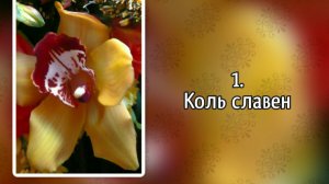 Гимны надежды 1 Коль славен (-)