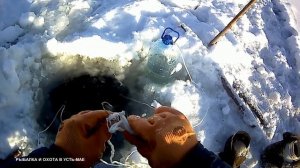 БОМБИЧЕСКАЯ РЫБАЛКА НА НАЛИМА!!! ЯКУТИЯ РЕКА АЛДАН!!! ОТЛИЧНЫЙ РЕЗУЛЬТАТ!!!