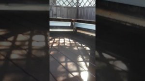 Отопление открытой беседки. Инфракрасные обогреватели.