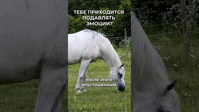 ПЛОХОЙ ЭМОЦИОНАЛЬНЫЙ ИНТЕЛЛЕКТ