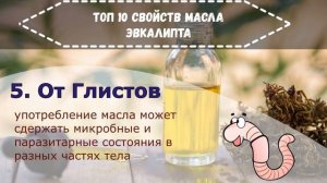 10 главных полезных свойств эвкалиптового масла