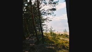 Поговори со мной в полночной тишине - кавер песни исполняет Виктория.