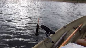 Baby Buster Strike Pro