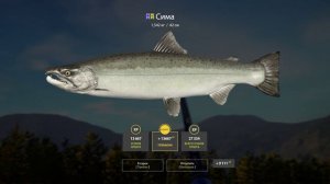 Одна МИНОГА - одна СИМА  р. ЯМА;  Russian Fishing 4 2024 01 09