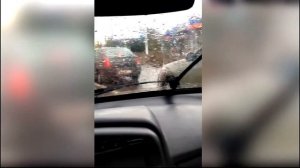 Странное поведение дворников | АВТО ПРИКОЛ |