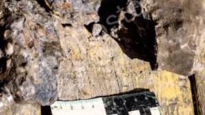 Метеорит 100% каменный хондрит, видео созданное для тех, кто очень сильно сомневается в метеоритике