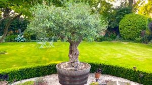 LAVENDER  AND OTHER JULY STARS IN MY ENGLISH GARDEN - + lavender wreath making | Katy at the Manor