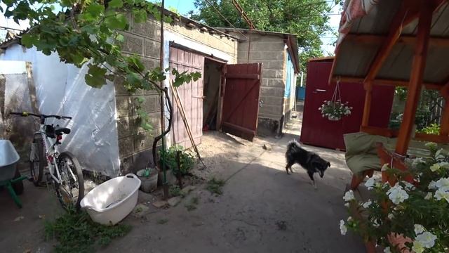 Приятное знакомство со зрителем! Спасибо за подарки! Зачем кушать, если ели вчера))) смотреть онлайн