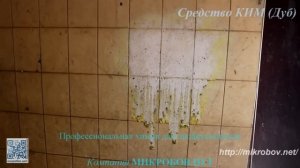 КИМ (дуб) - Профессиональное средство для очистки кафельной плитки