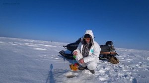 НАША РЫБАЛКА НА ВАШЕ ОБОЗРЕНИЕ / РЫБИНКА/ФЕВРАЛЬ