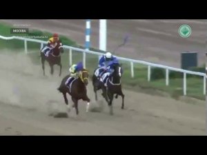 Скакун из Якутии выиграл дебютные скачки в Москве