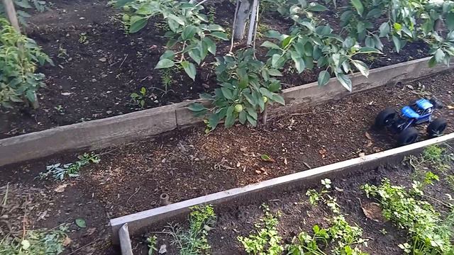 приключения джипика. первый день на даче. (Jeep adventures. first day at hacienda) смотреть онлайн