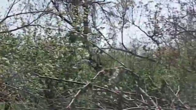 Albert live at Edjmiatsin song 10 of 10 смотреть онлайн