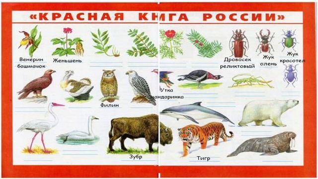 Окружающий мир. Рабочая тетрадь 4 класс 1 часть. ГДЗ стр. 45 №4 смотреть онлайн