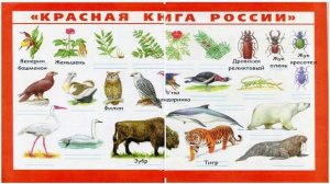 Окружающий мир. Рабочая тетрадь 4 класс 1 часть. ГДЗ стр. 45 №4