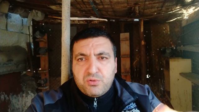 почтовые спортивные голуби , тренировка. смотреть онлайн