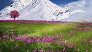 Mozart. Sonata No 12 part I Allegro. Arr. for accordion & guitar.