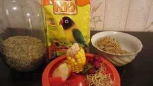 Корма для неразлучников часть 1