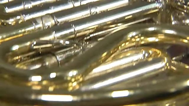 МУЗЫКАЛЬНЫЙ ИНТЕРВАЛ. Сюжет о валторне