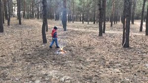 Ямпольский лес. Осень 2021 год. Ямполь. Донецкая обл.