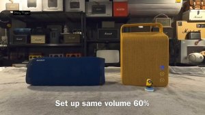 Sony SRS-XB43  vs  Vifa Oslo