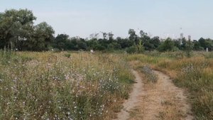 Фотосессия в поле с сеном. Что получилось.