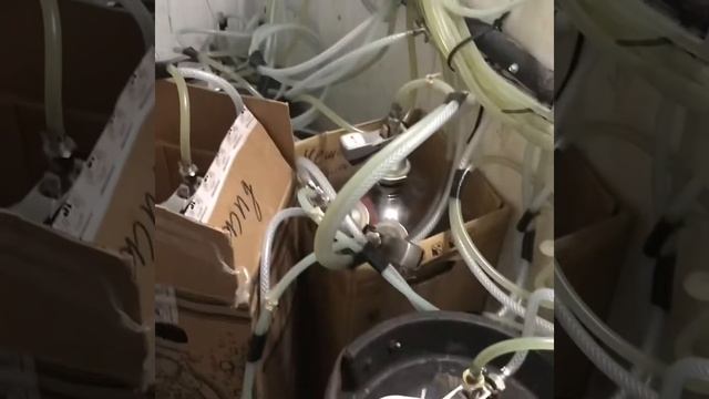 Наша камера для хранения пенного