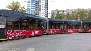 "лев" перекресток Петропавловской улицы и улицы борчанинова