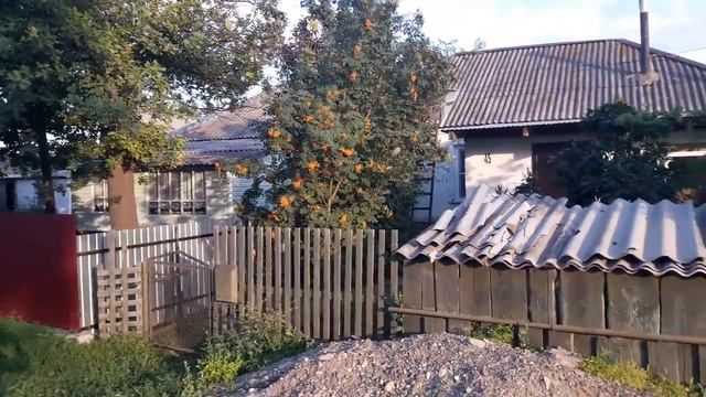 Дом в котором Я вырос.mp4 смотреть онлайн