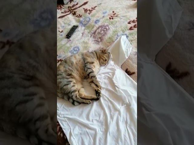 31 августа 2021 г. смотреть онлайн