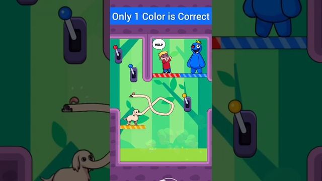 Only One Switch is Correct (Long Dog Borzoi Dog Game) #shorts