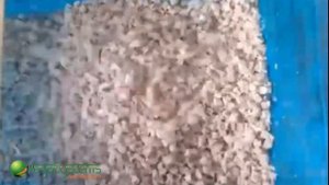 Машина для нарезки замороженного мяса на кубик, брусок и слайс Vega H Frozen Meat Dicer 2500