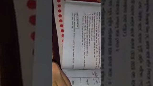 Business Organisation and Management смотреть онлайн