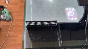 Проверка аквариума с задним сампом 60*60*45 см. Задний самп крупным планом :)